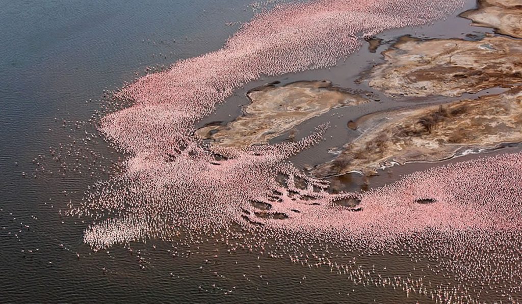 LAKE BOGORIA N. PARK