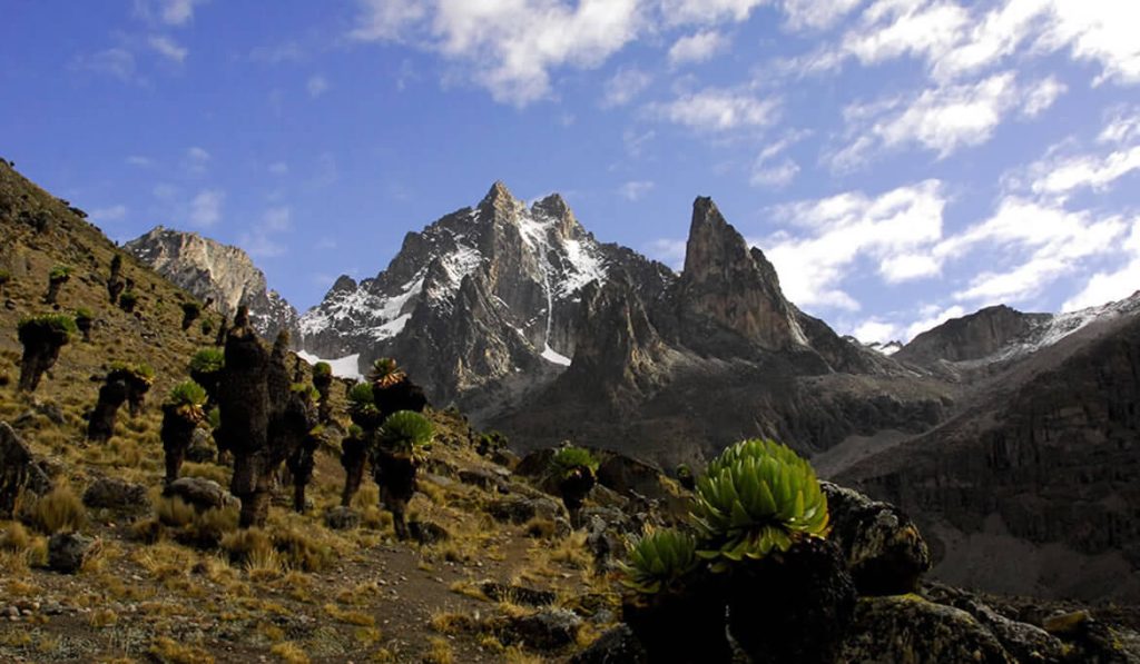 MT KENYA N. PARK