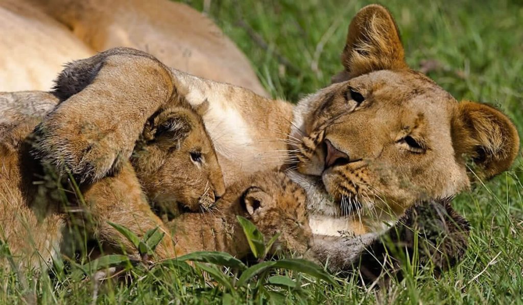 Serengeti National Park